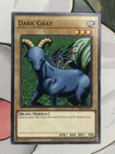 Dark Gray