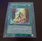 Dark Magic Expanded