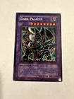 Dark Paladin