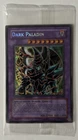 Dark Paladin
