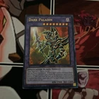 Dark Paladin