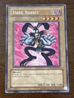 Dark Rabbit
