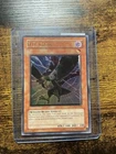 D.D. Crow