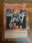 D.D. Warrior Lady
