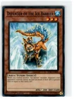 Defender of the Ice Barrier