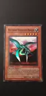 Different Dimension Dragon
