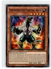 Dinowrestler Martial Anga