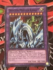 Dragon Master Knight