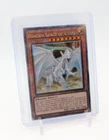 Dark Magician the Dragon Knight