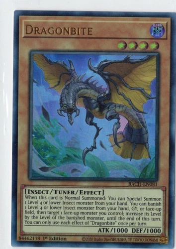 Dragonbite