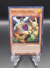 Droll & Lock Bird