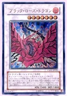 Dragon Knight Draco-Equiste
