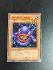 Electric Lizard