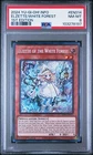 Elzette of the White Forest