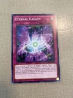Eternal Galaxy