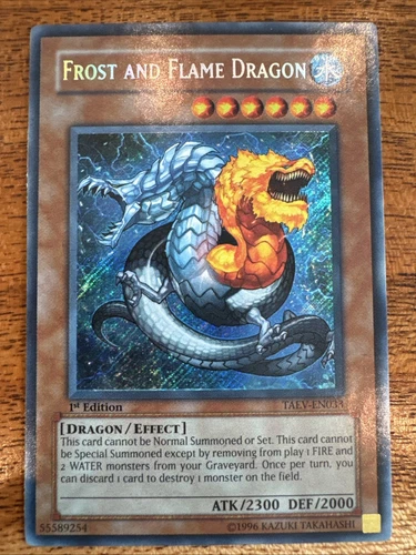 Frost and Flame Dragon