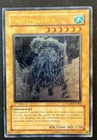 Frostosaurus