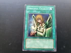 Graceful Charity