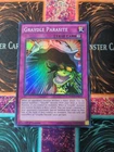Grave of the Super Ancient Organism