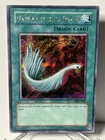 Harpie's Pet Dragon - Fearsome Fire Blast