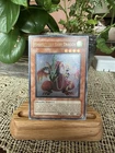Harpie's Pet Baby Dragon