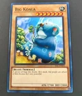Big Koala