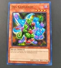 Des Kangaroo