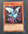 Sacred Crane
