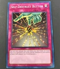 Self-Destruct Button