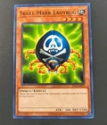 Skull-Mark Ladybug