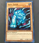 Soul Tiger