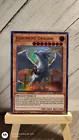 Judgment Dragon