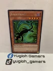 Kagetokage