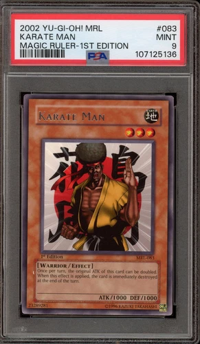 Karate Man