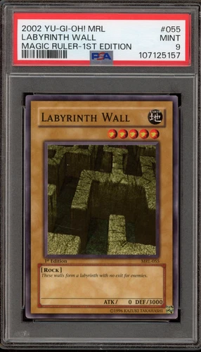 Labyrinth Wall