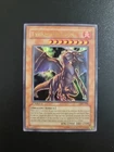 Tyrant Dragon