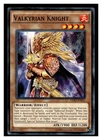 Valkyrian Knight