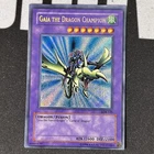 Gaia the Dragon Champion