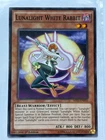 Lunalight White Rabbit