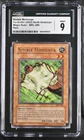 Nimble Momonga