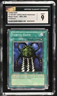 Turtle Oath