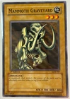 Mammoth Graveyard