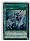 Marincess Dive