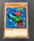 7 Colored Fish