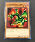 Blackland Fire Dragon