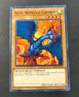 Blue-Winged Crown