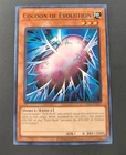 Cocoon of Evolution