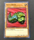 Petit Moth