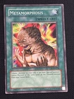 Metamorphosis