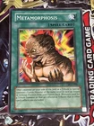 Metamorphosis